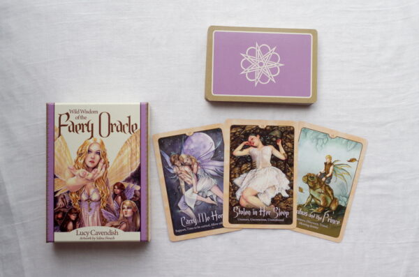 Wild Wisdom of the Faery Oracle Reading - Image 2